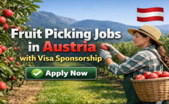 Fruit Picking Jobs in Australia 2026 – Visa Sponsorship
